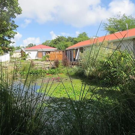 Ecolodge Barbuda - Natural Pool & Beach Saint-Francois  Extérieur photo