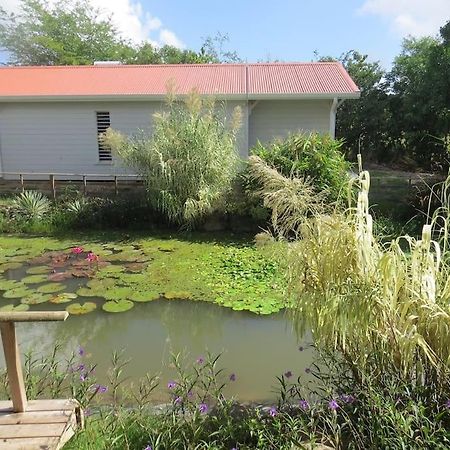 Ecolodge Barbuda - Natural Pool & Beach Saint-Francois  Extérieur photo