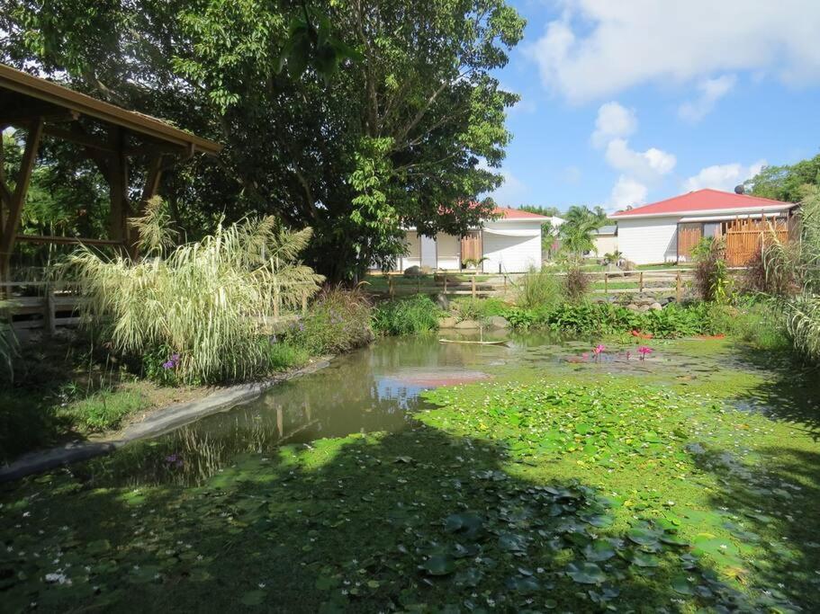 Ecolodge Barbuda - Natural Pool & Beach Saint-Francois  Extérieur photo