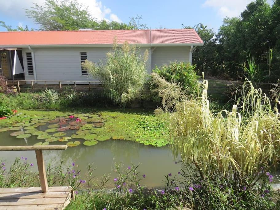 Ecolodge Barbuda - Natural Pool & Beach Saint-Francois  Extérieur photo